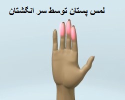 لمس پستان توسط سر انگشتان