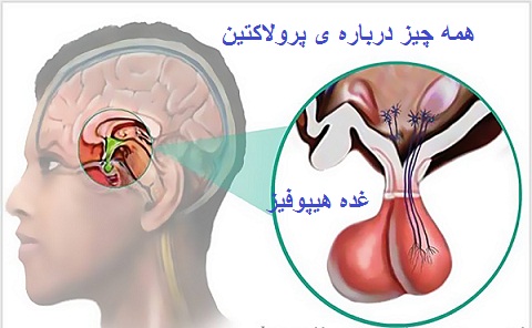 هورمون پرولاکتین چیست؟