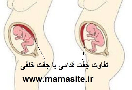 تفاوت جفت قدامی و جفت خلفی