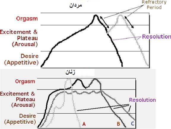 ارگاسم در مردان - ارگاسم در زنان